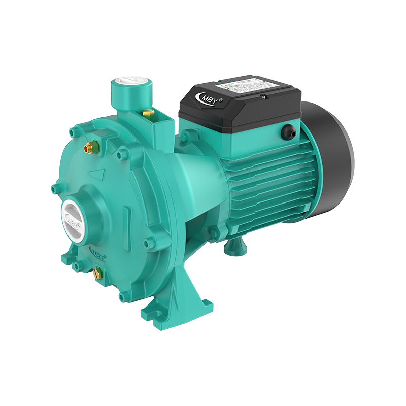 2MCm Two-Stage Centrifugal Pump 2MCm Two-Stage Centrifugal Pump